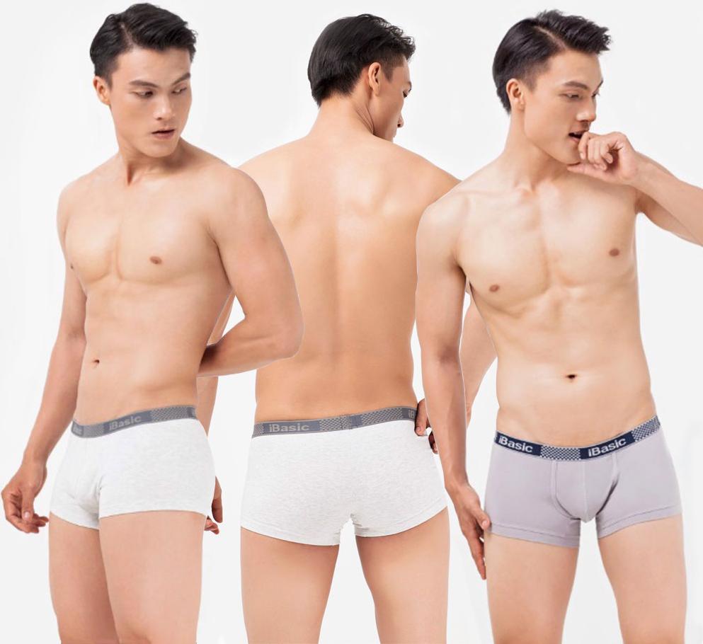 Combo 3 Chiếc Quần Lót Nam Boxer Thời Trang, Nam Tính, Chất Liệu Cotton, Logo Chìm Tinh Tế iBasic PANM009 - Hàng Chính Hãng