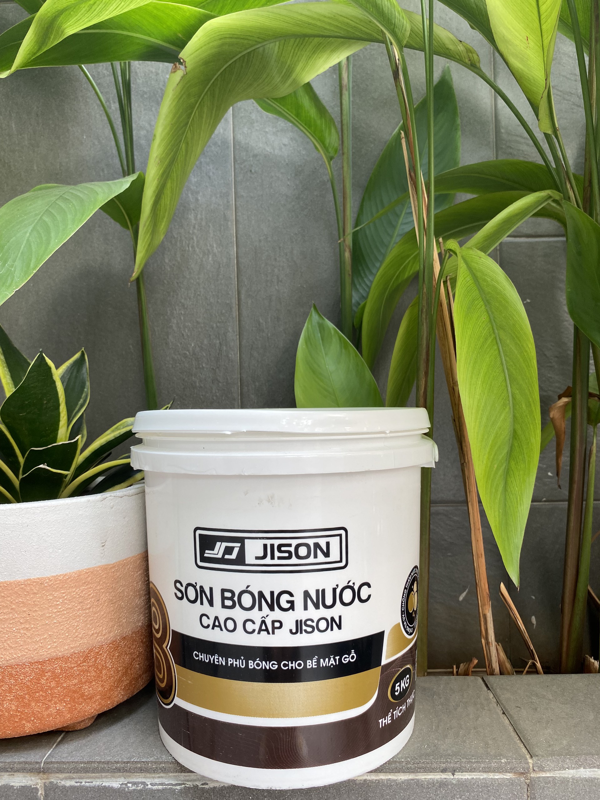 Sơn Bóng nước Gỗ Jison