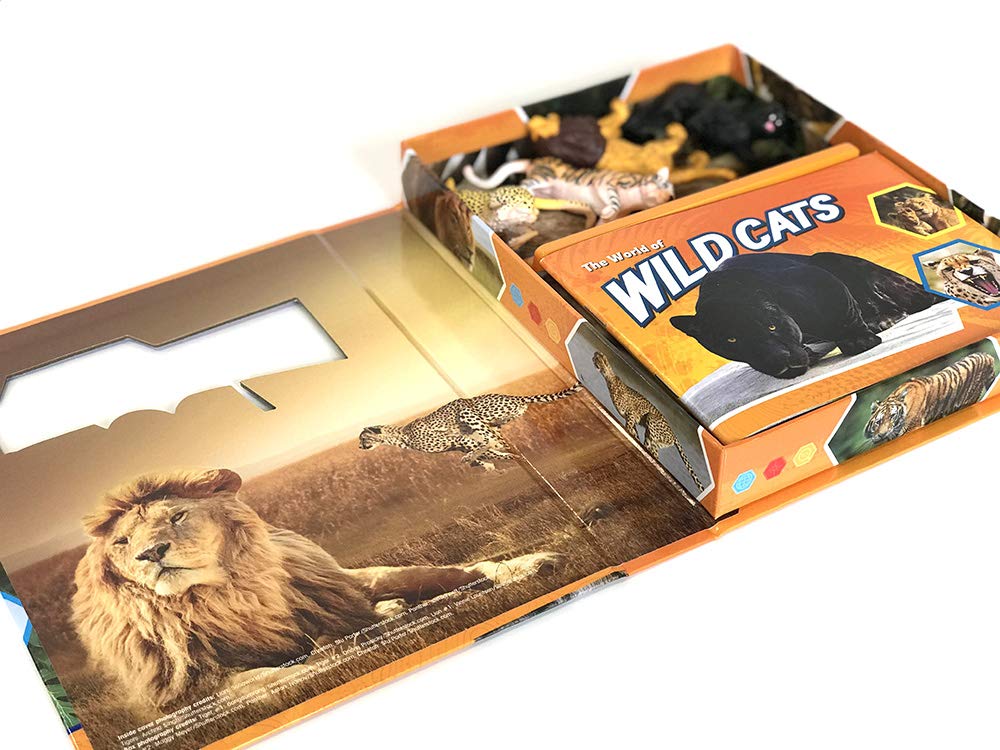 Wild Cats Pocket Explorers