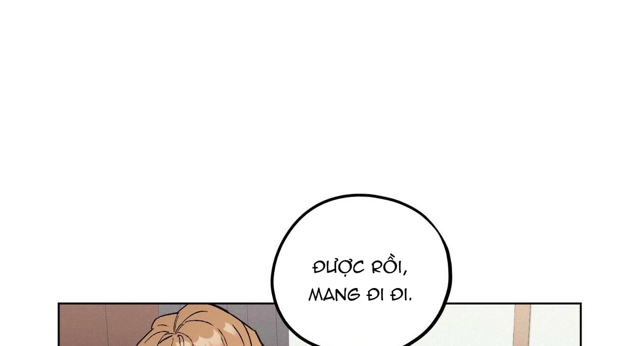 chàng dâu nhà họ kang chapter 8 52