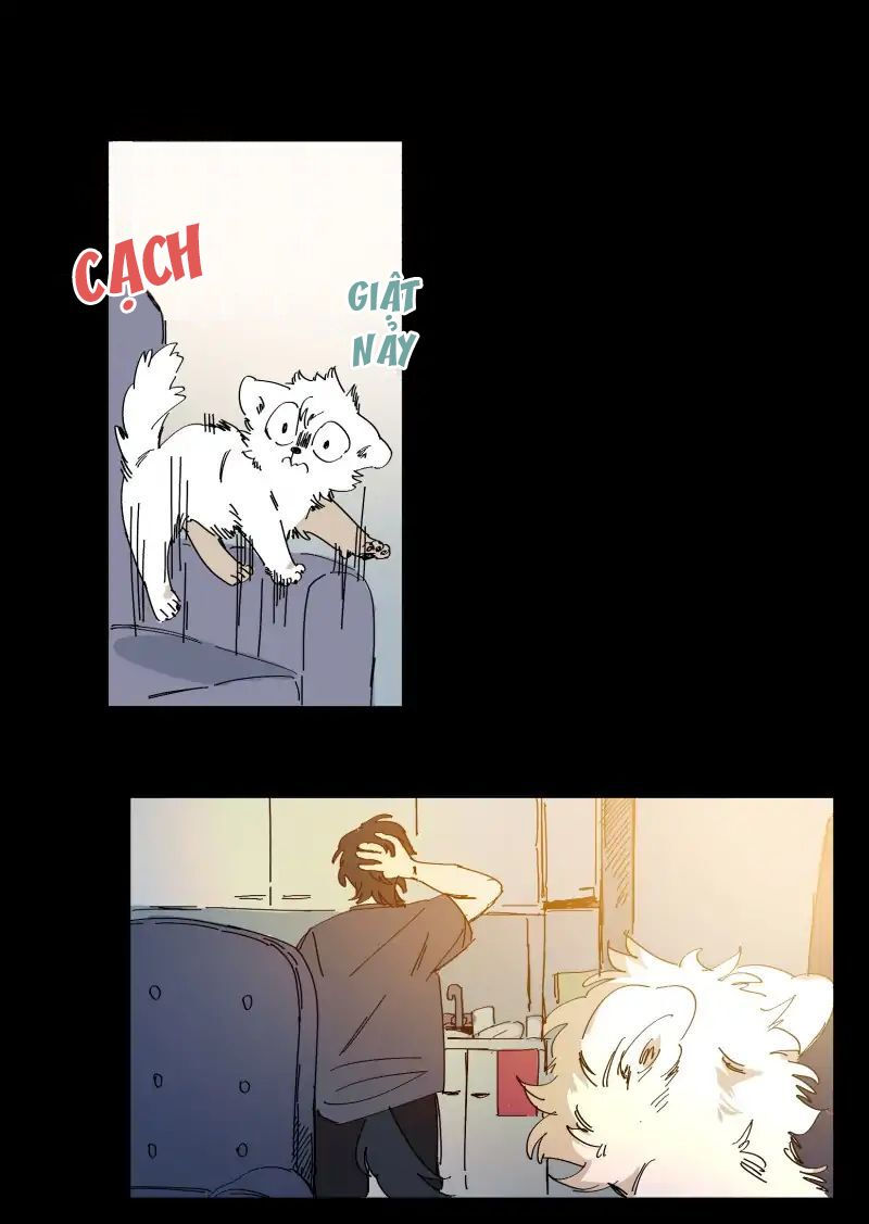 lumine - cội nguồn ánh sáng chapter 63 16