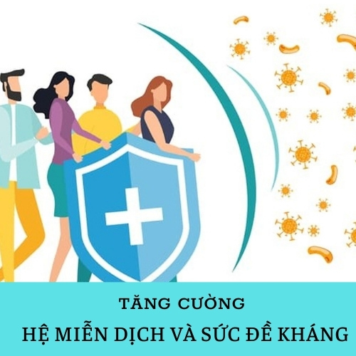 Combo 2 Khóa Học Xoa Bóp Bấm Huyệt Giúp Nâng Cao Sức Khoẻ Toàn Diện - Trung Tâm VMC