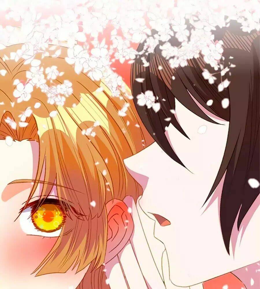 hội học sinh kiêu ngạo của hoàng cung chapter 14 1