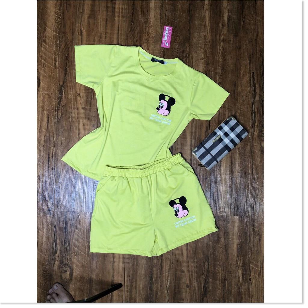 Set áo thun nữ quần đùi nữ cotton