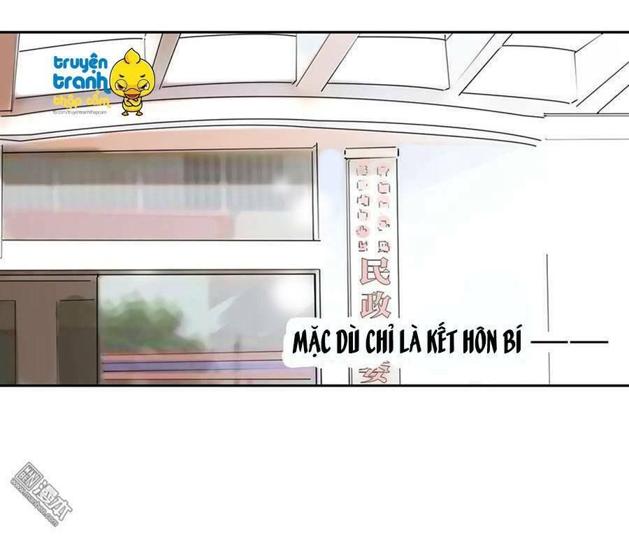 chọc tới chủ tịch tổng tài 2 chapter 2 13