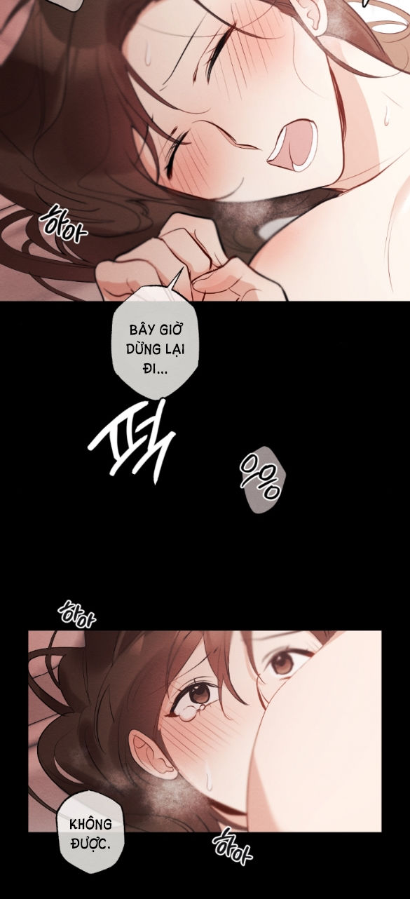 [18+] hôn nhân bị đánh cắp chapter 1.1 10