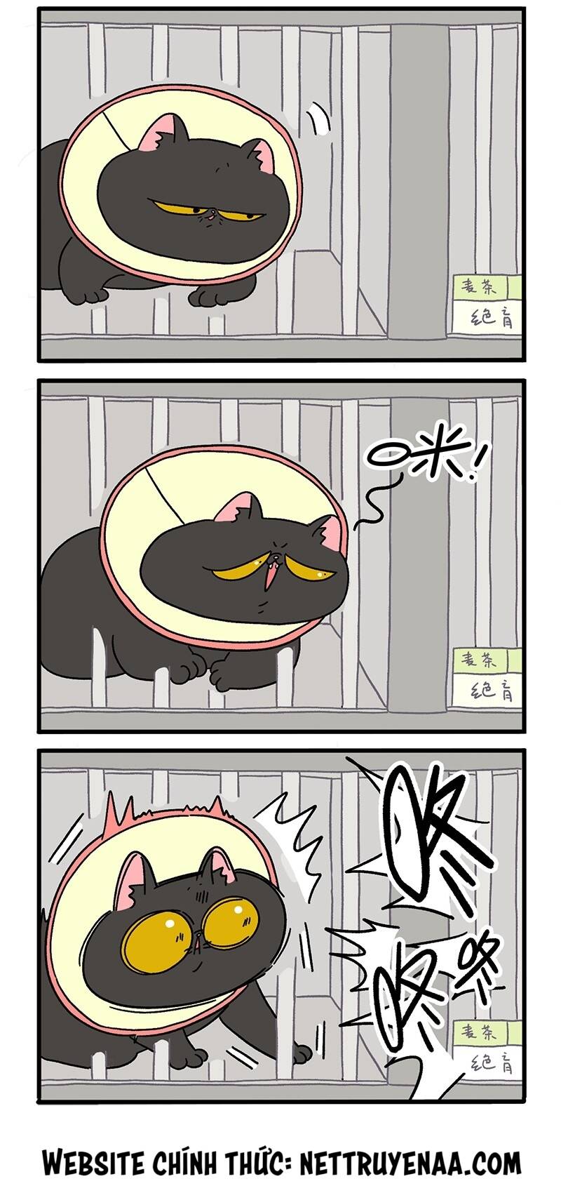 a mãn và mạch trà chapter 18.2 2