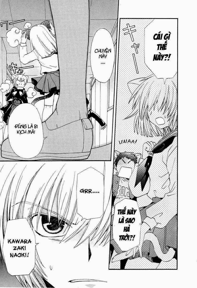 inukami chapter 15 2