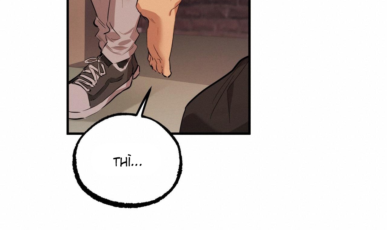 những chú thỏ của hapypy chapter 51 64