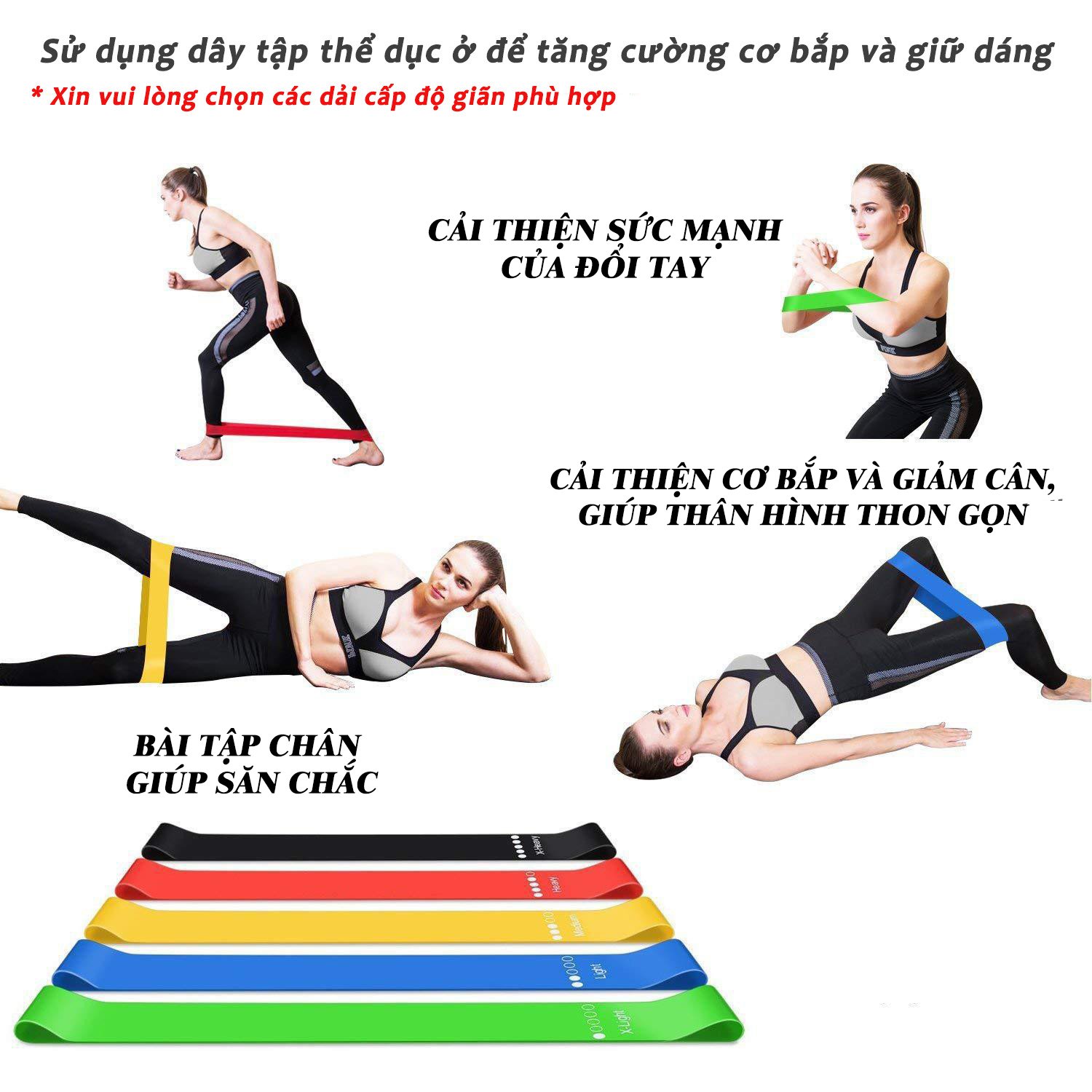 Bộ 5 dây đàn hồi tập gym, dây đàn hồi miniband tập yoga, dây đàn hồi tập thể dục, dây đàn hồi kháng lực cao cấp ( Tặng kèm sách hướng dẫn + túi )