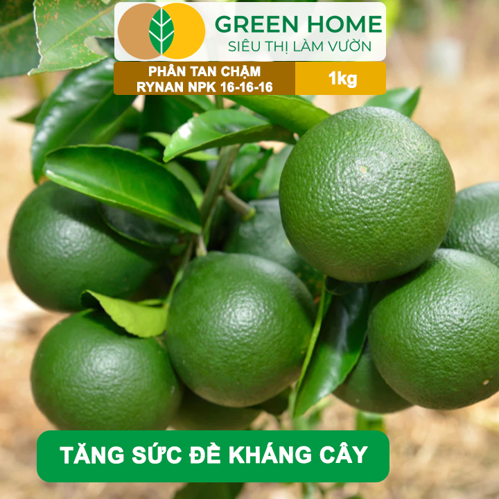 Phân Tan Chậm GreenHome, Rynan NPK 16-16-16, Túi 1kg, Dùng Cho Cây Có Múi Khỏe Bền Tán Xanh Rễ Mạnh