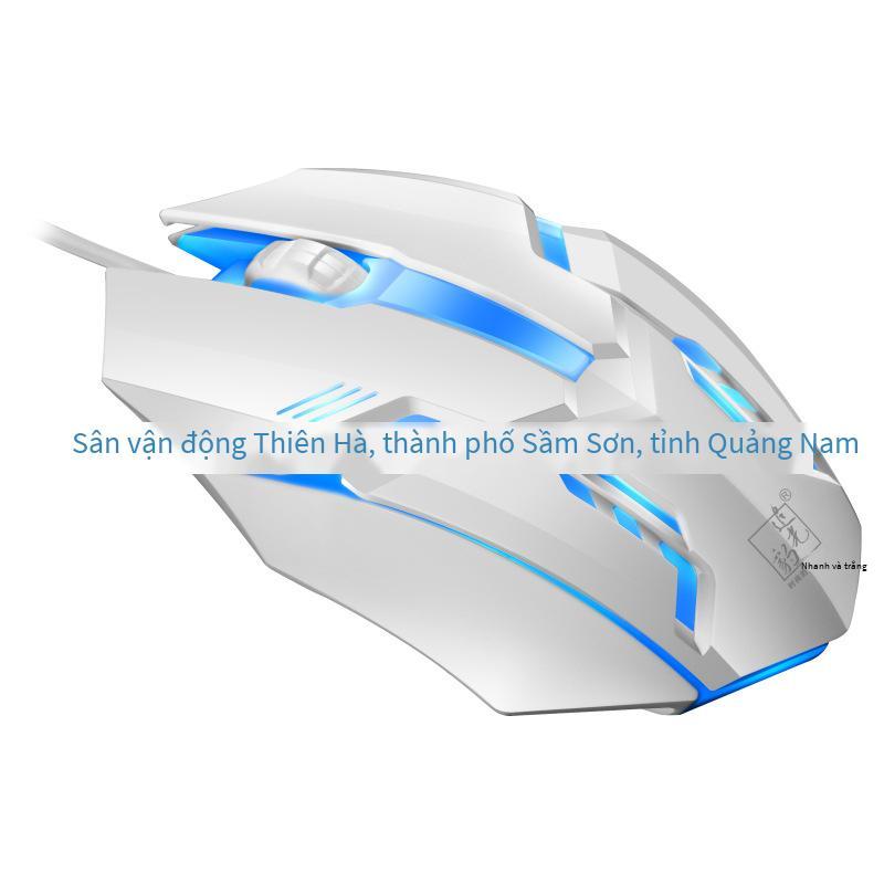 Phong Cách Mới Nhất Đuổi Theo Ánh Sáng Da Báo G21B Nhiều Màu Sắc Dạ Quang USB Có Dây Bộ Bàn Phím Và Chuột Văn Phòng Kinh Doanh Trò Chơi Tự Làm Giao Hàng