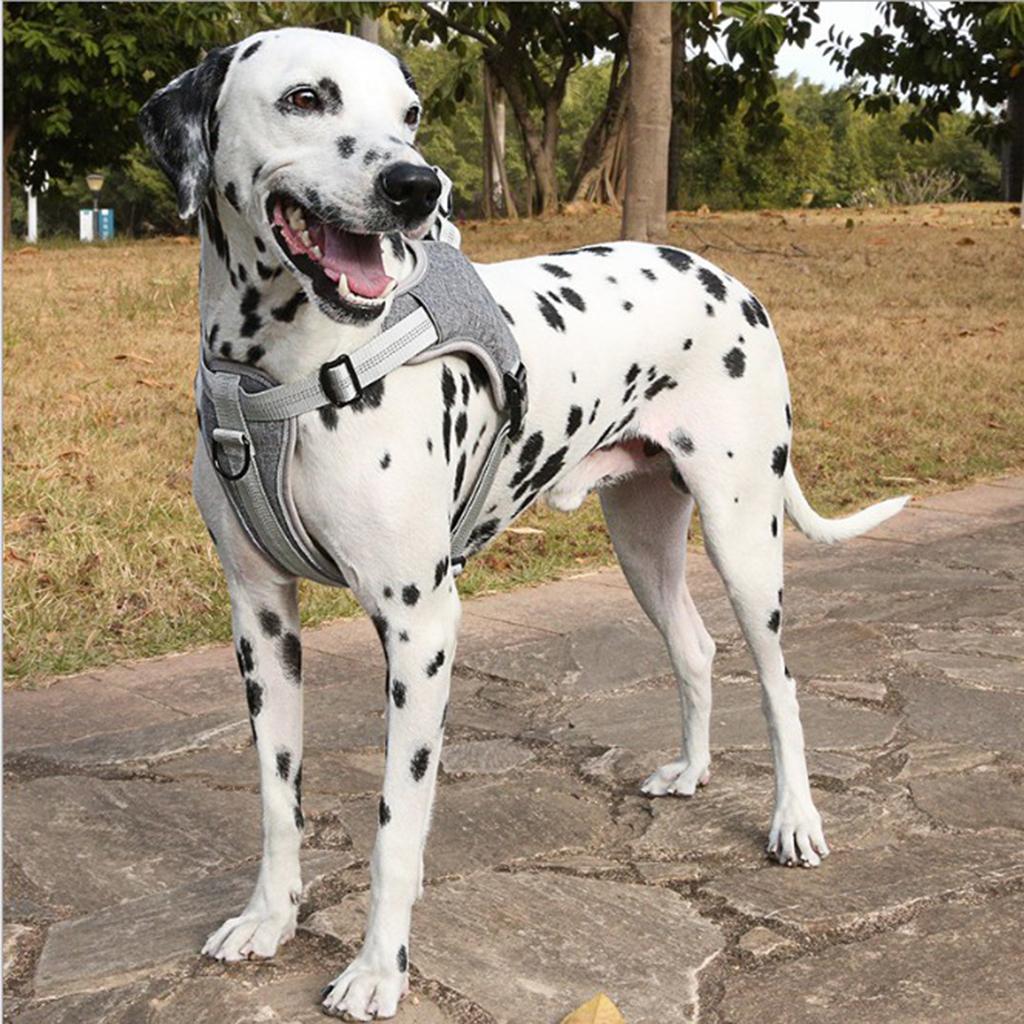Adjustable Dog Harness Reflective Breathable No Pull Easy to Put on Medium and Large Dogs