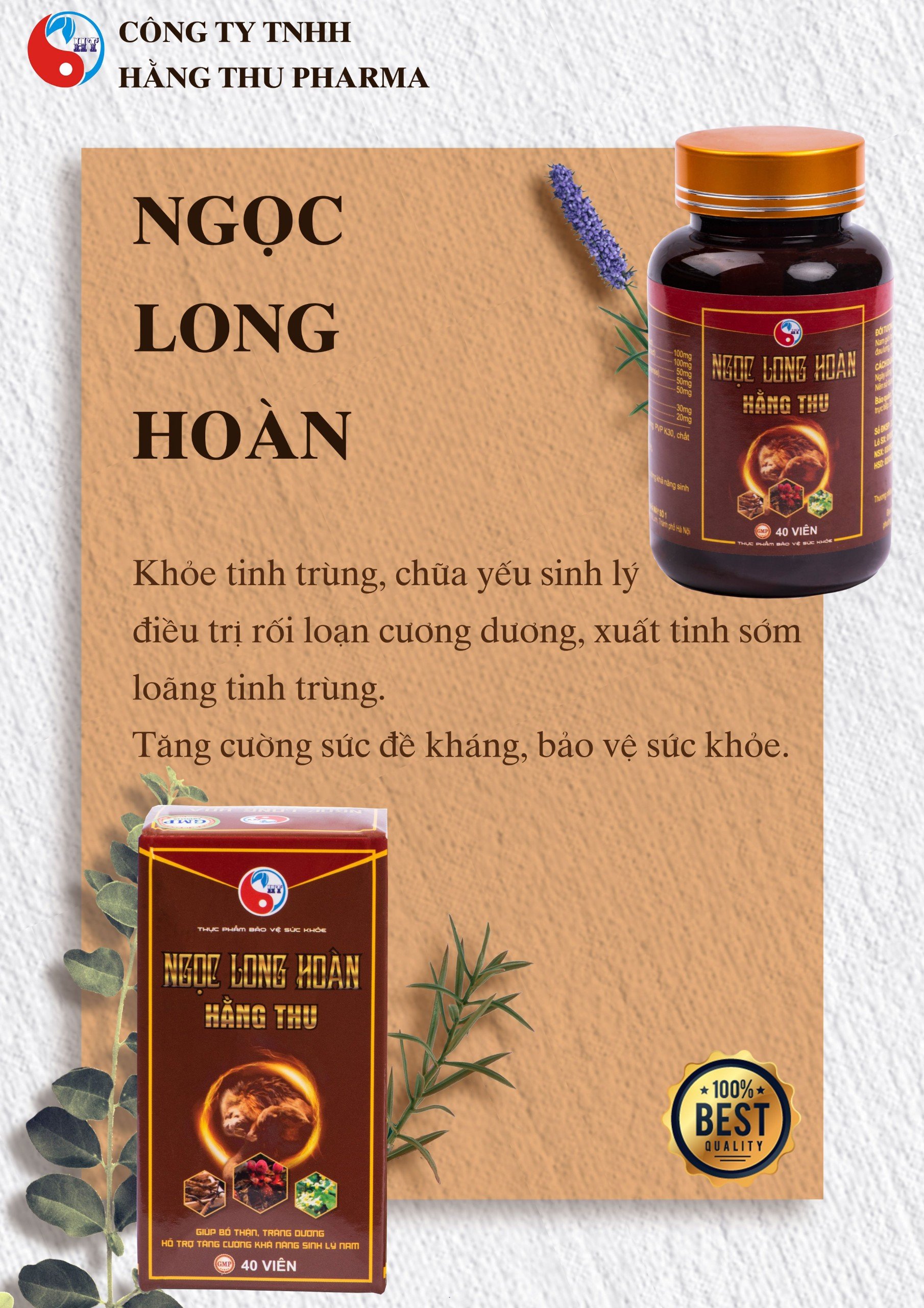 Viên uống Ngọc Long Hoàn HT
