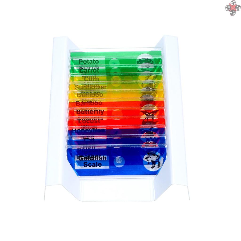 12Pcs Prepared Microscope Slides Specimen Animals Insects Plants Flowers Sample Biological Specimen