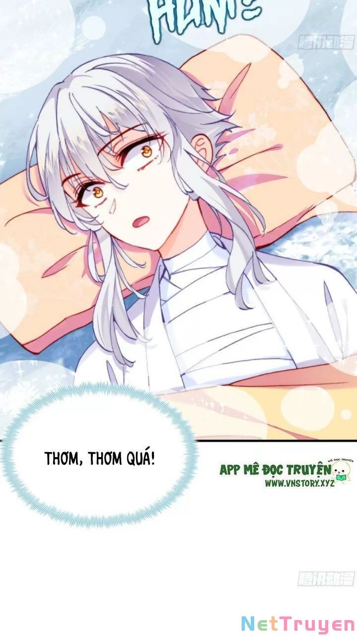 lại bị bệnh chiều chuộng quấn lấy chapter 17 15