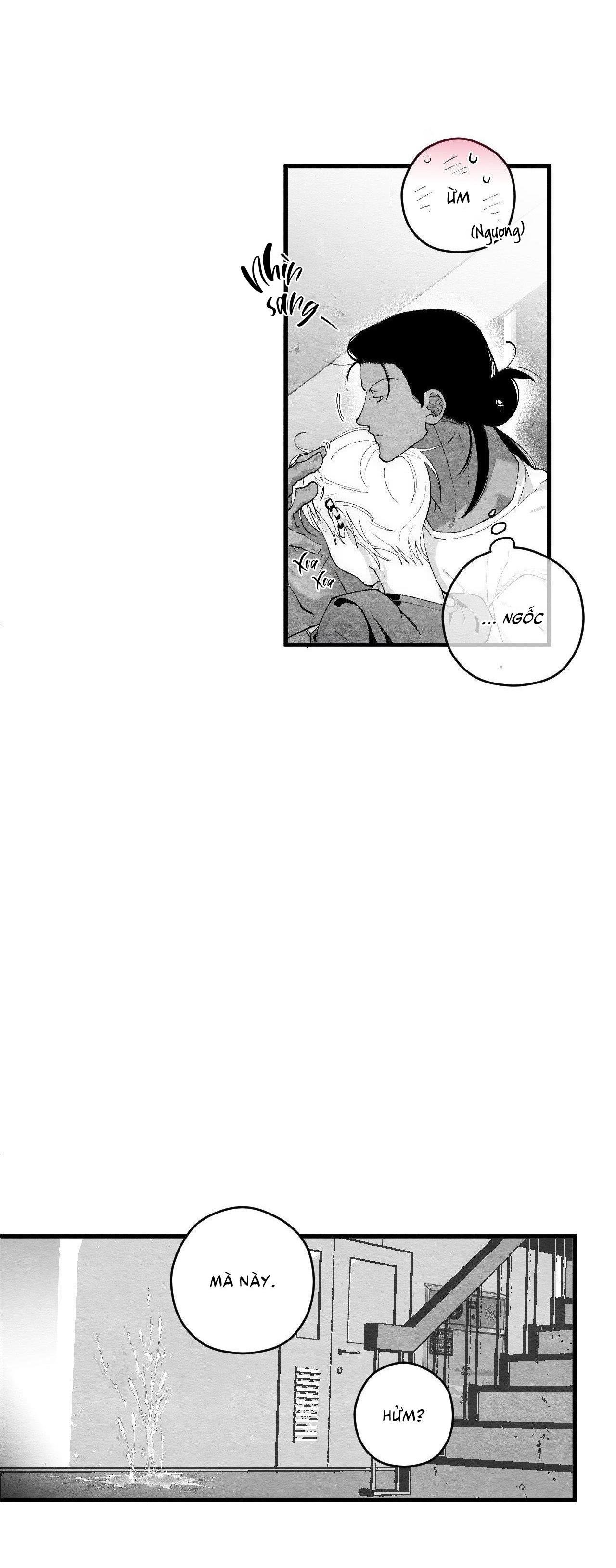 vóc dáng toàn mỹ chapter 15 63