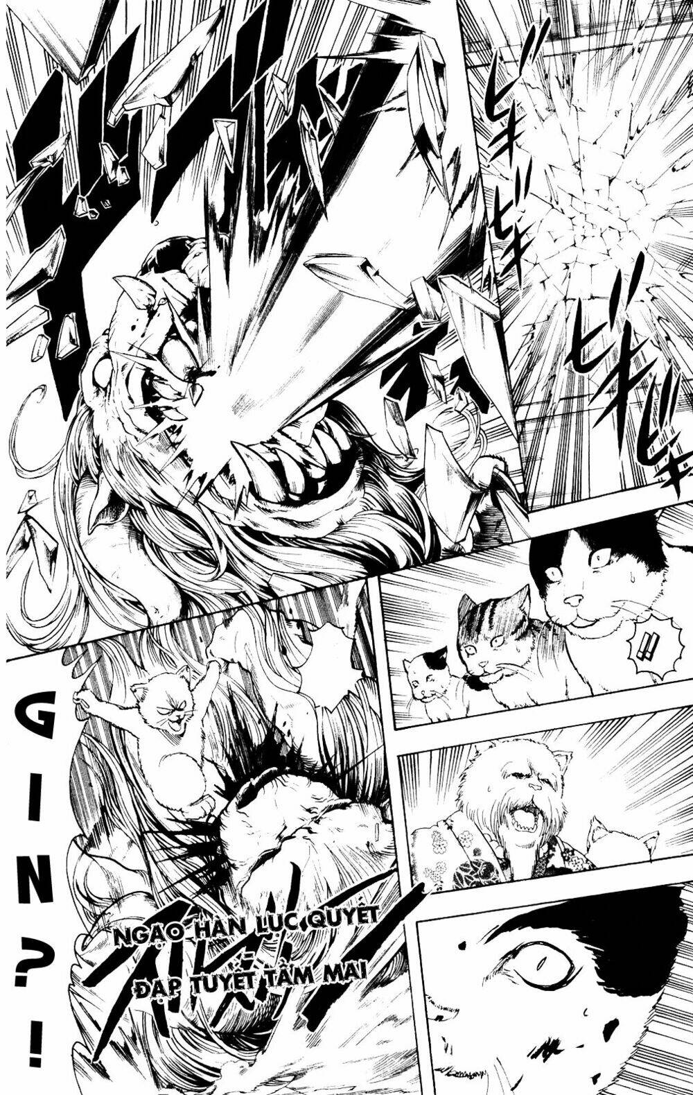 gintama - linh hồn bạc chapter 279 11