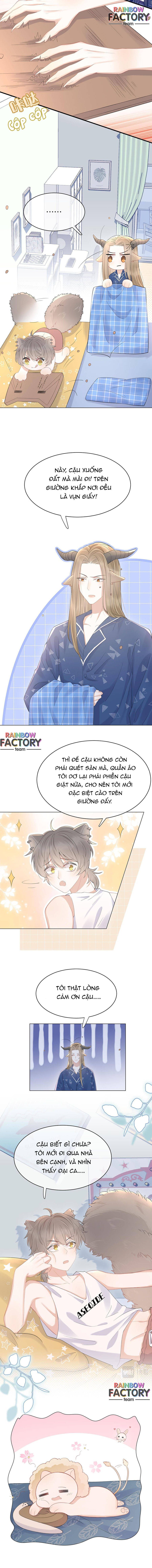 ăn một bé thỏ chapter 18 7