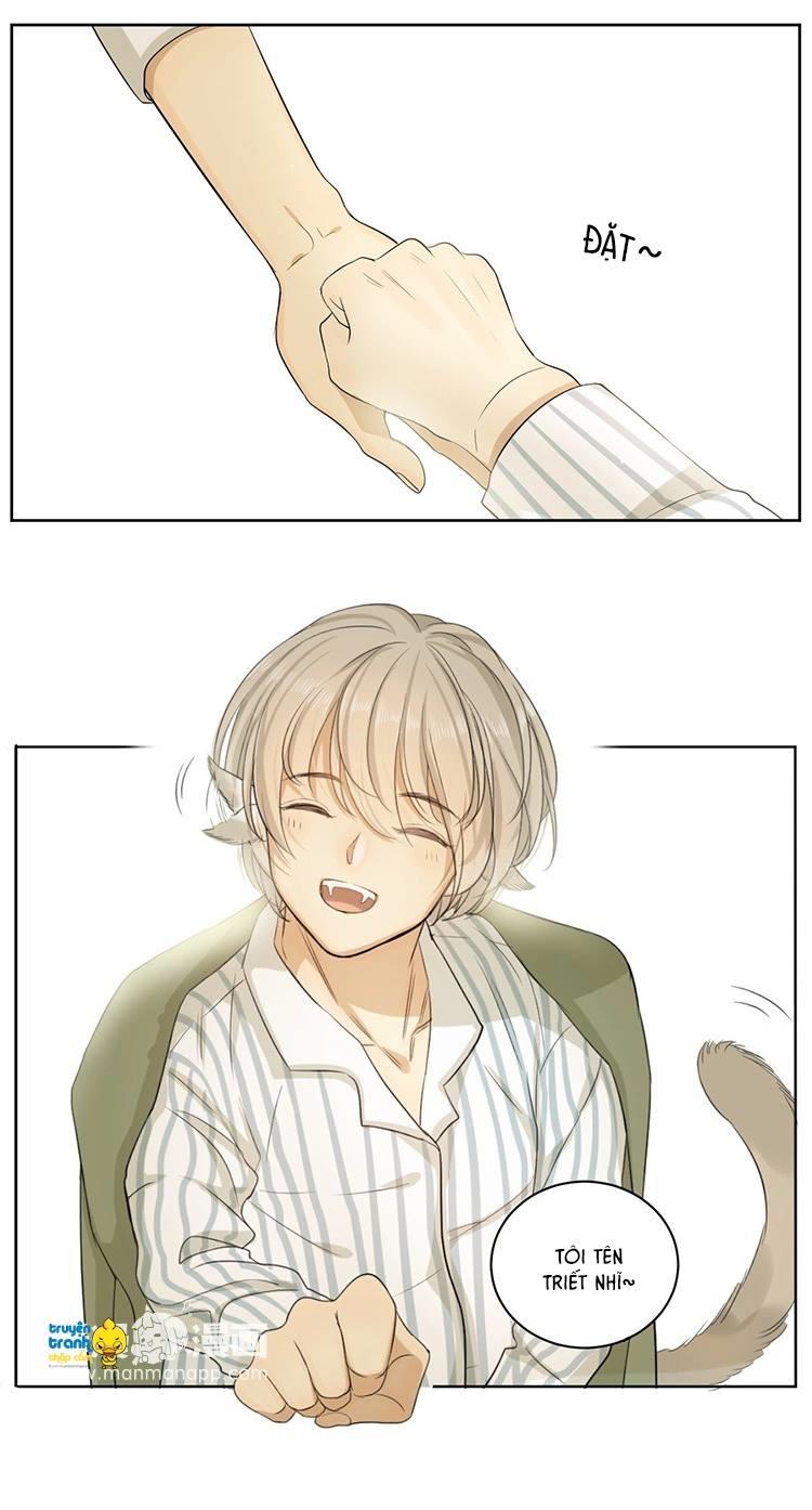 cứu mạng ! loài mèo thống trị thế giới rồi ! chapter 8 16