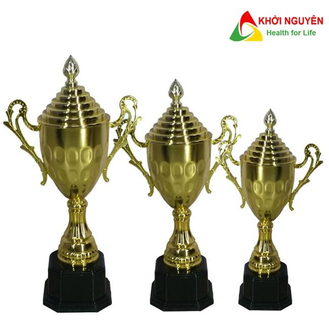 Cúp lưu niệm thể thao giá rẻ HQ-169 + Free in tem Logo giải đấu