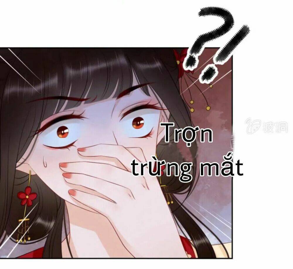 sủng phi của vương chapter 44 22