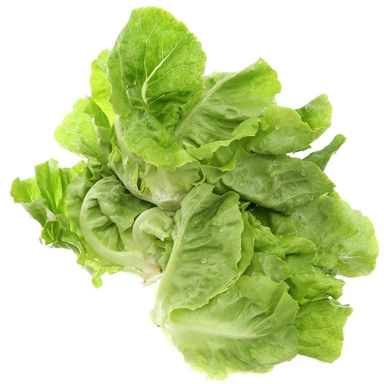 Hạt giống Xà Lách Mỡ, đóng gói 10gr, dễ trồng, năng suất cao