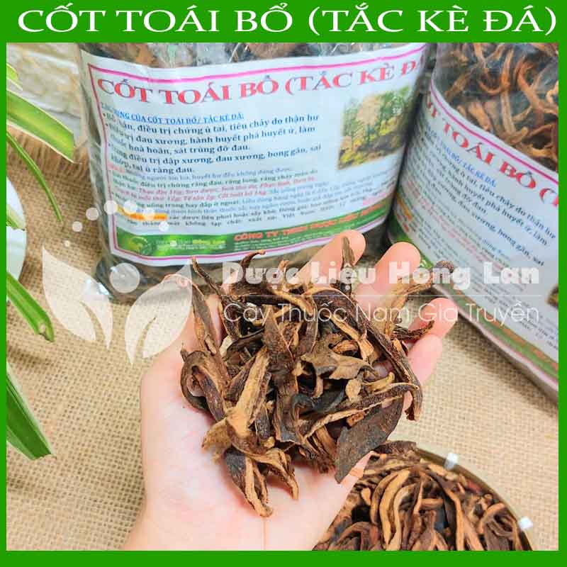 Tắc Kè Đá (Cốt Toái Bổ) khô 1kg