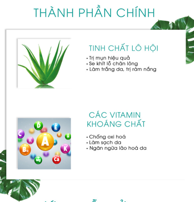 Bộ 3 sản phẩm Trắng Da Ngừa mụn KN Beauty chuyên sâu: Kem dưỡng 25g + Serum 30ml + Sữa rửa mặt 100gr