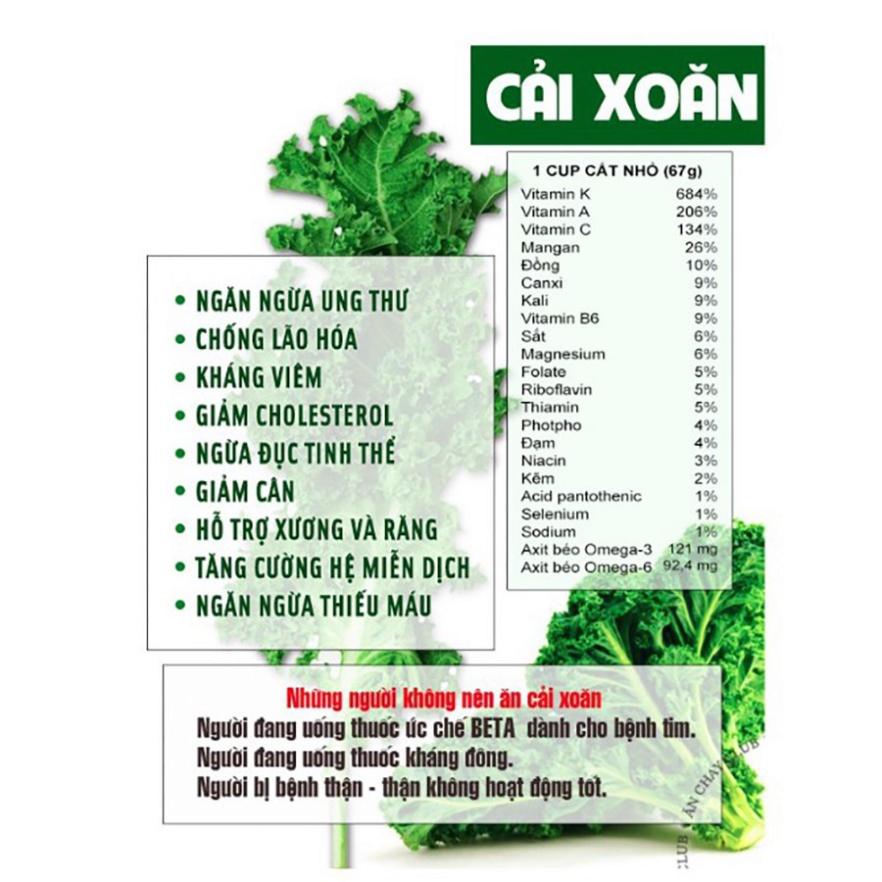 Bột Cải Xoăn Behena giảm cholesterol - Bột Cải Kale Hỗ Trợ Tiêu Hóa - giúp bé phát triển trí não