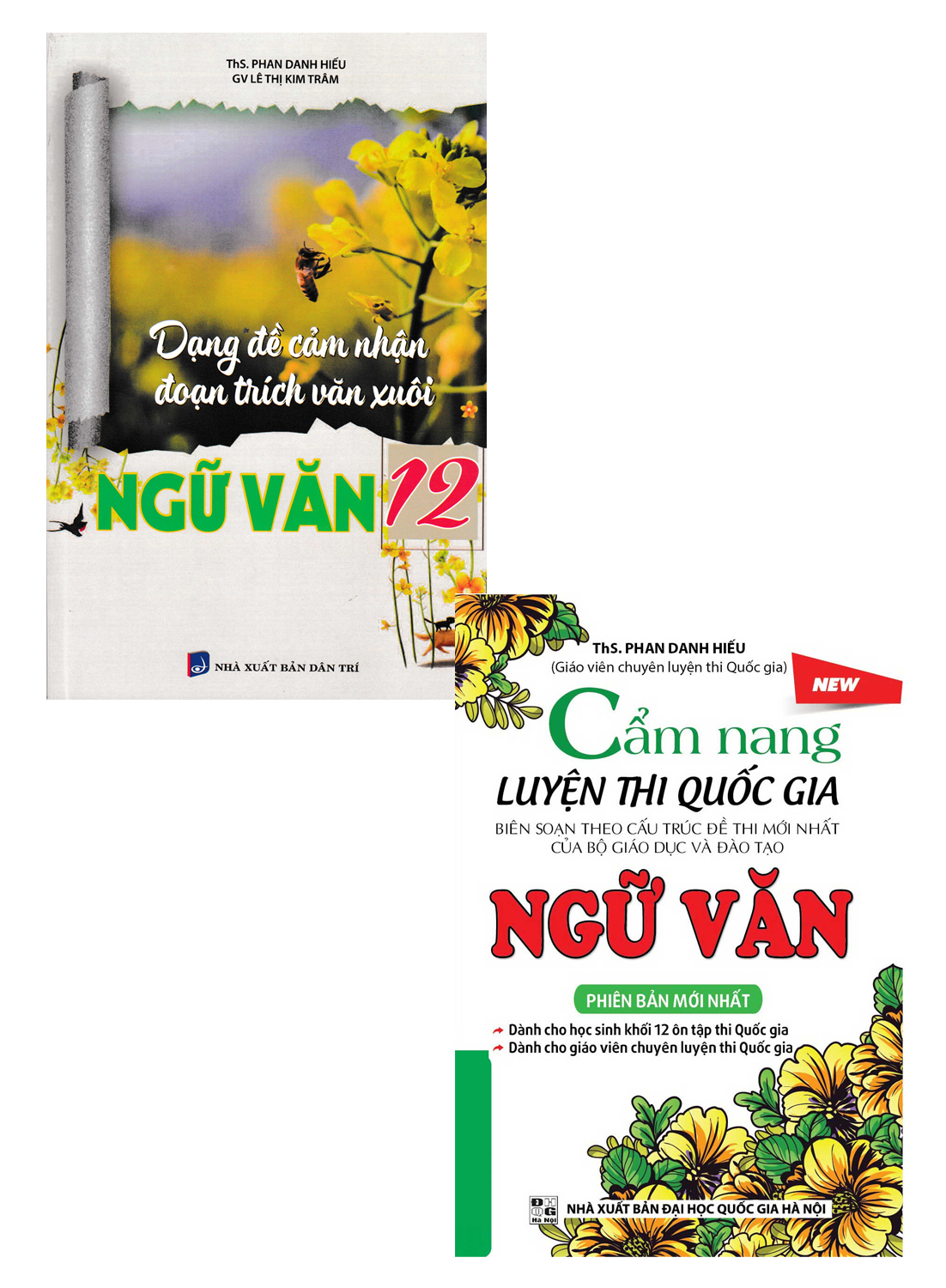 COMBO CẨM NANG LUYỆN THI QUỐC GIA NGỮ VĂN + DẠNG ĐỀ CẢM NHẬN ĐOẠN TRÍCH VĂN XUÔI NGỮ VĂN 12 - KV