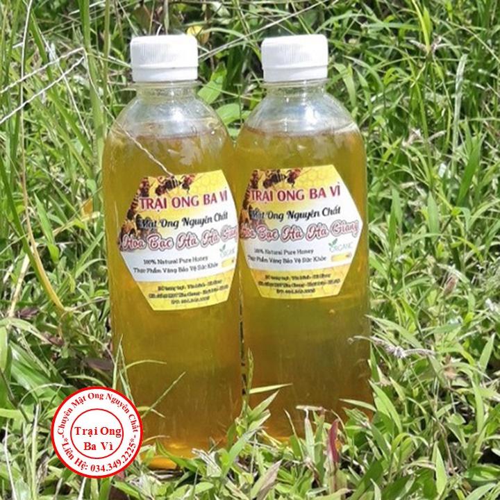 Mật Ong Hoa Bạc Hà Cao Nguyên Đá Hà Giang Chính Vụ