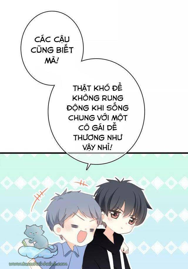 con tim rung động 3 chapter 60 5