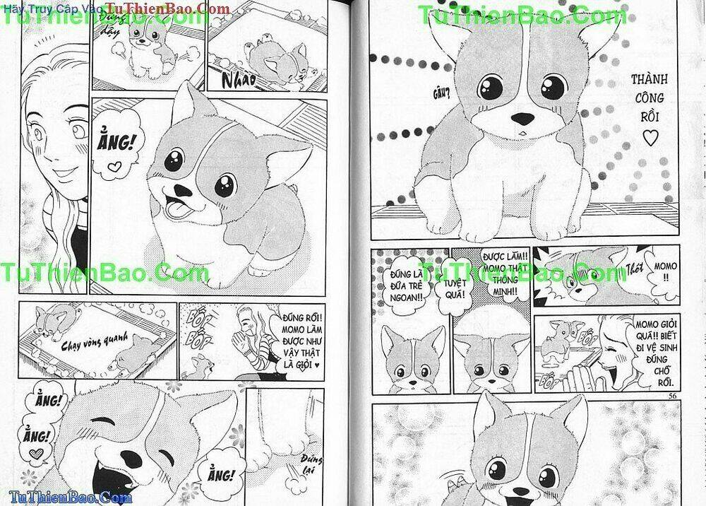 chó con mo mo chapter 1 29