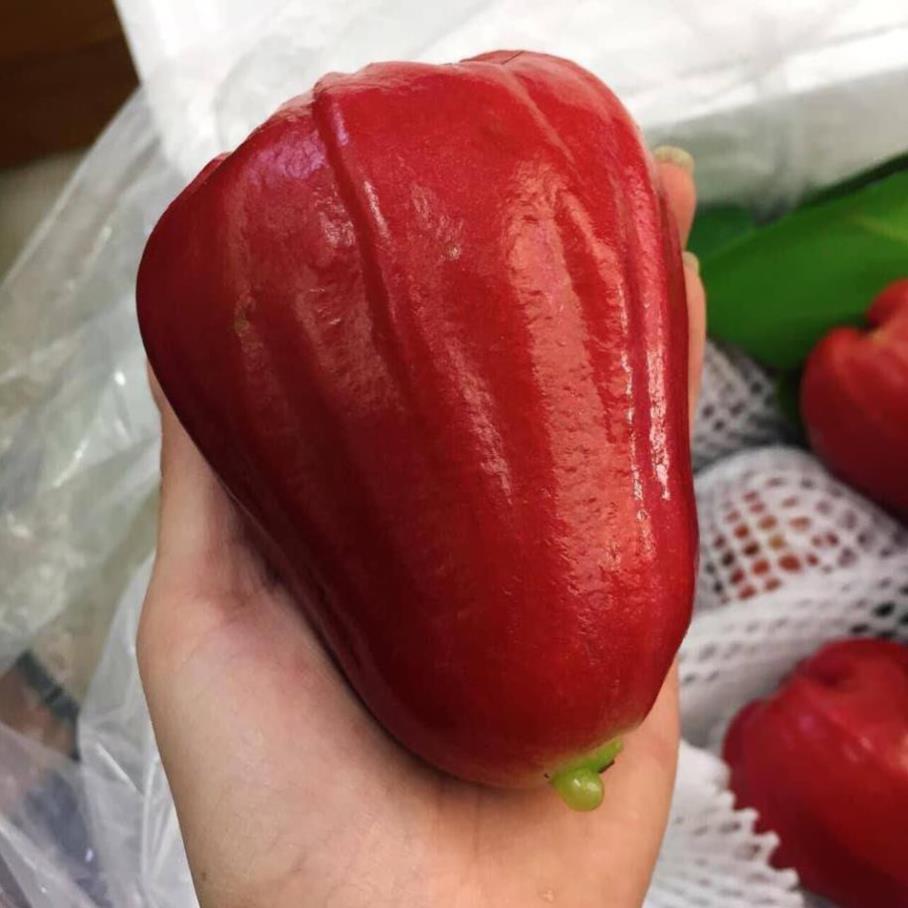 Sản phẩm ROI ĐỎ THÁI KHÔNG HẠT
