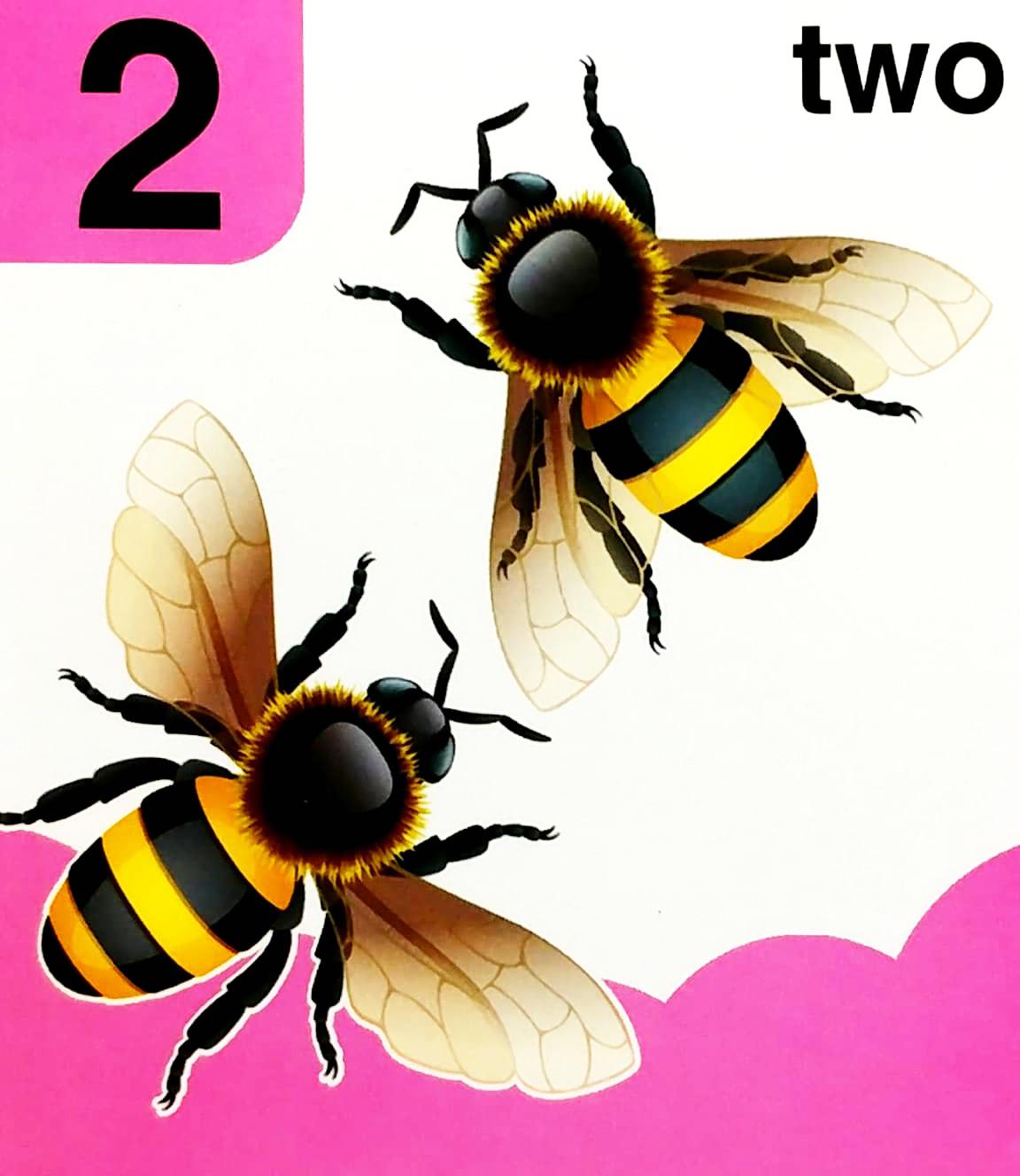 Baby’s Mini Books: 123