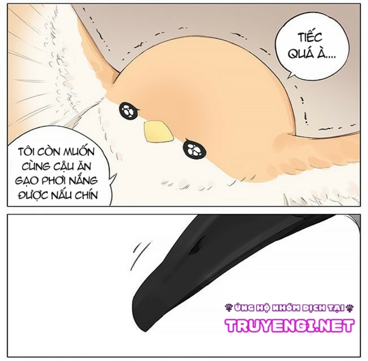 sẻ chiếu mới và nhạn phong sương chapter 4 9