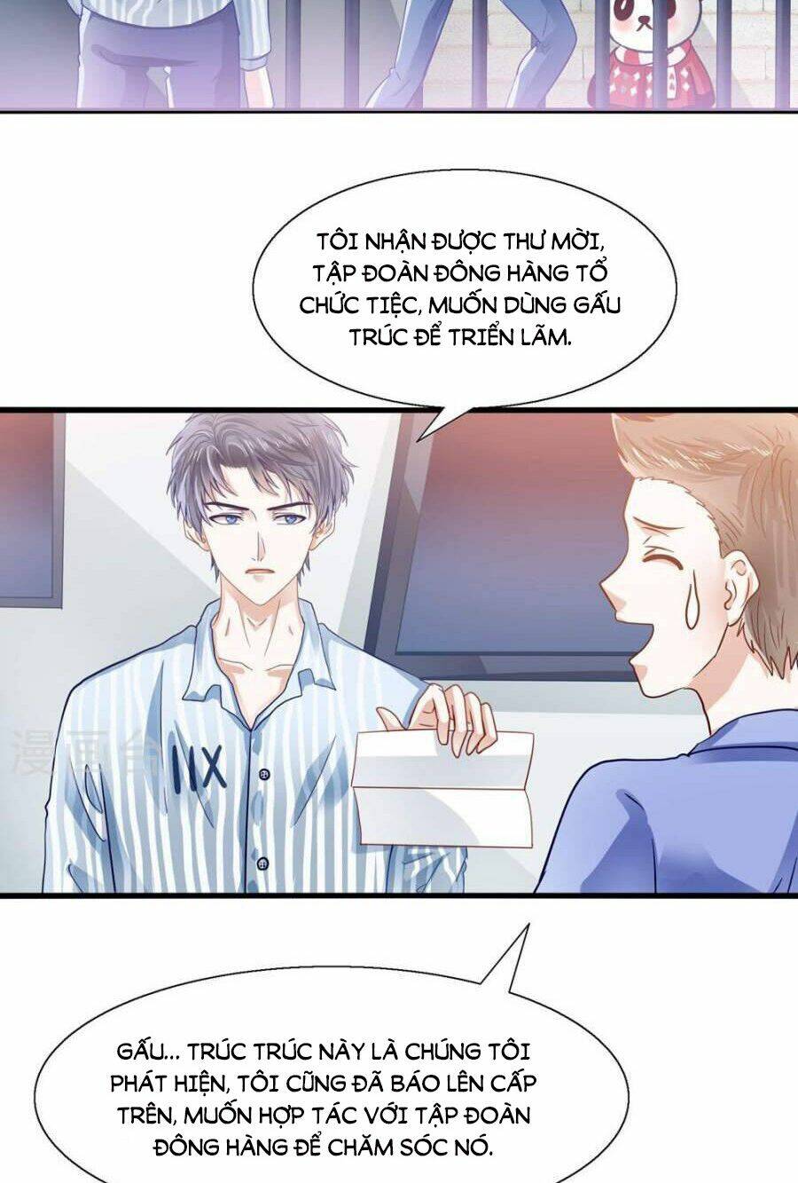 tôi bị gấu trúc nhìn trúng rồi chapter 5 10