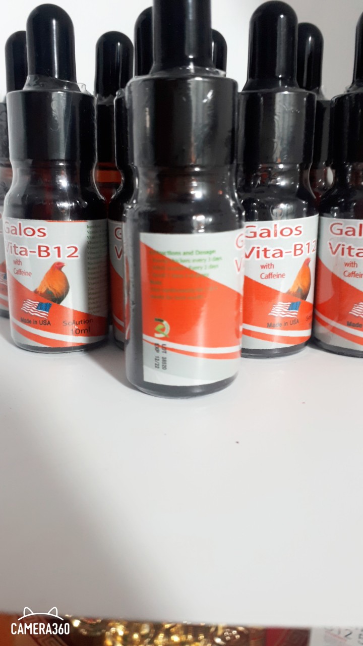 Galos Vita B12 with Caffeine 10ml Dinh Dưỡng Nuôi Tăng Bo Đá Dẻo Dai-Chống Rớt Bo Khi Vận Chuyển
