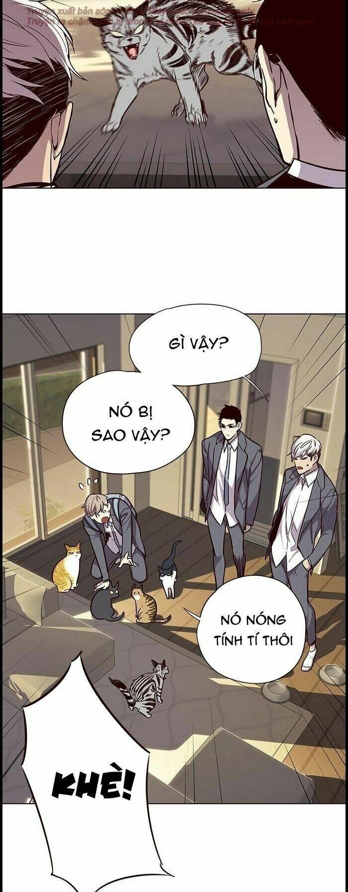 biến thân thành mèo chapter 38 19