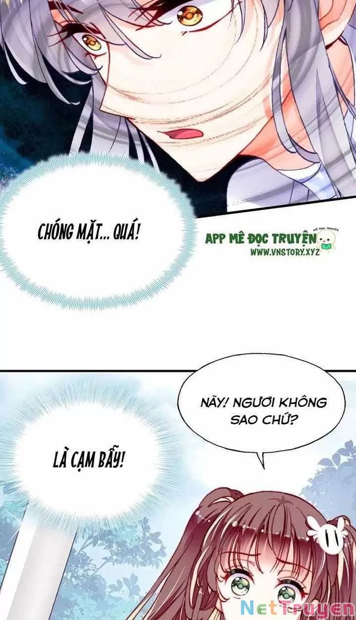 lại bị bệnh chiều chuộng quấn lấy chapter 15 37