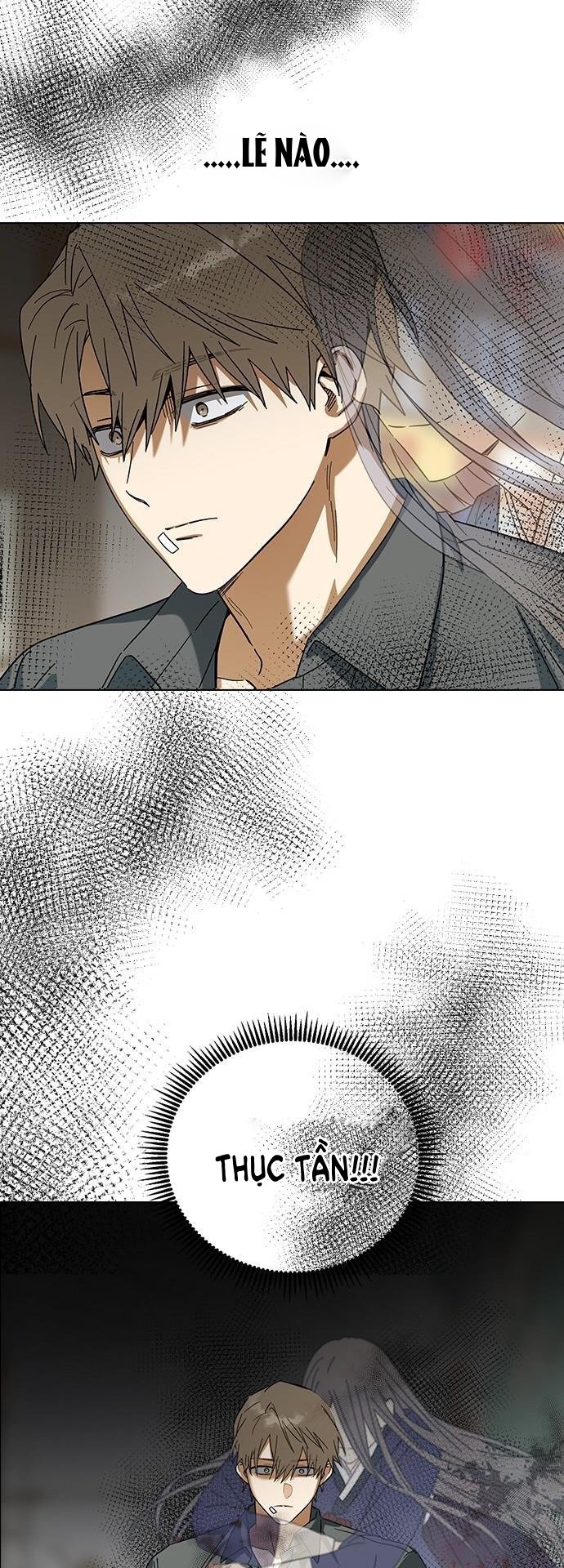 nhân duyên kiếp trước chapter 80.1 28