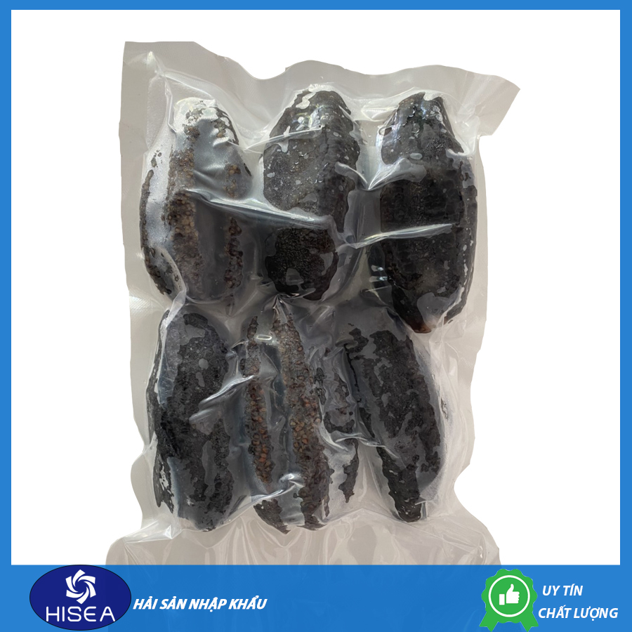 Hải sâm canada tươi( size 14 - 16 con/kg)- Hộp 500gr