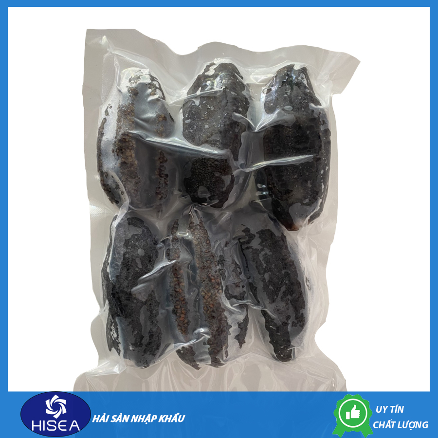 Hải sâm canada tươi- Hộp 500gr