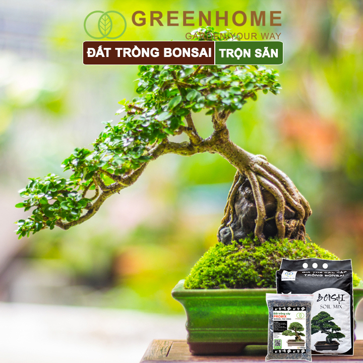 Đất trồng cây bonsai, mai vàng trộn sẵn, giữ ẩm tốt, thoáng khí, nhiều dinh dưỡng| Greenhome