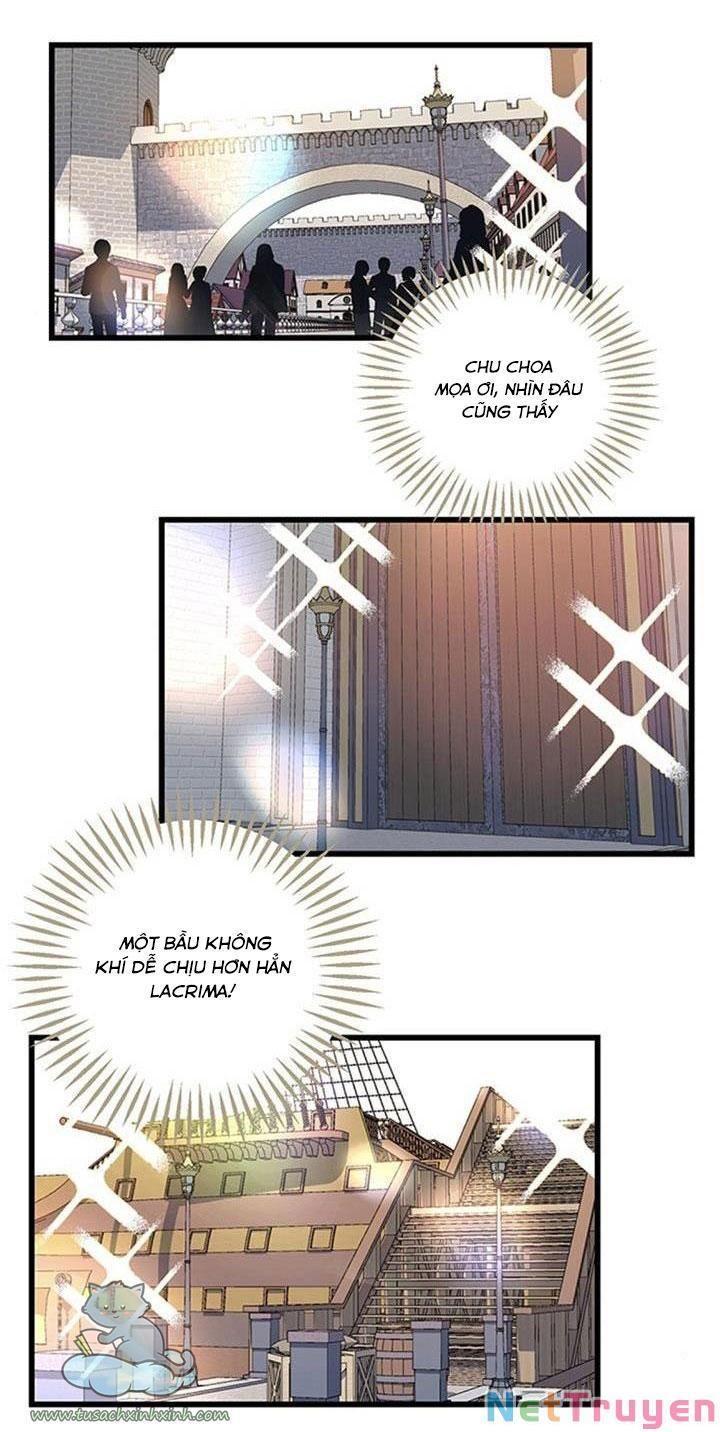 xin hãy cứ khóc, thái tử chapter 13 10