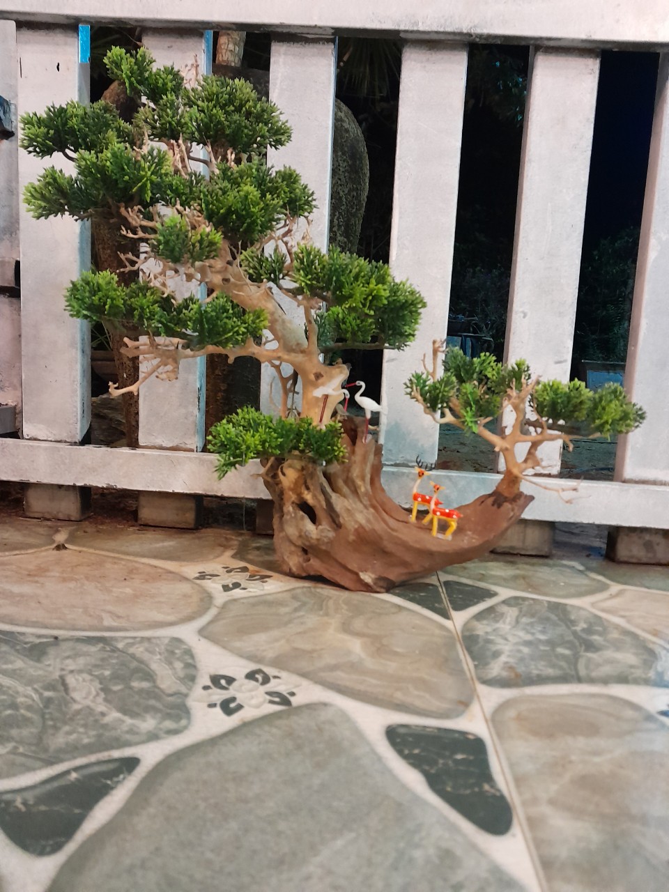 Bonsai Bể Cá – Cây Bonsai Đặt Phòng Khách