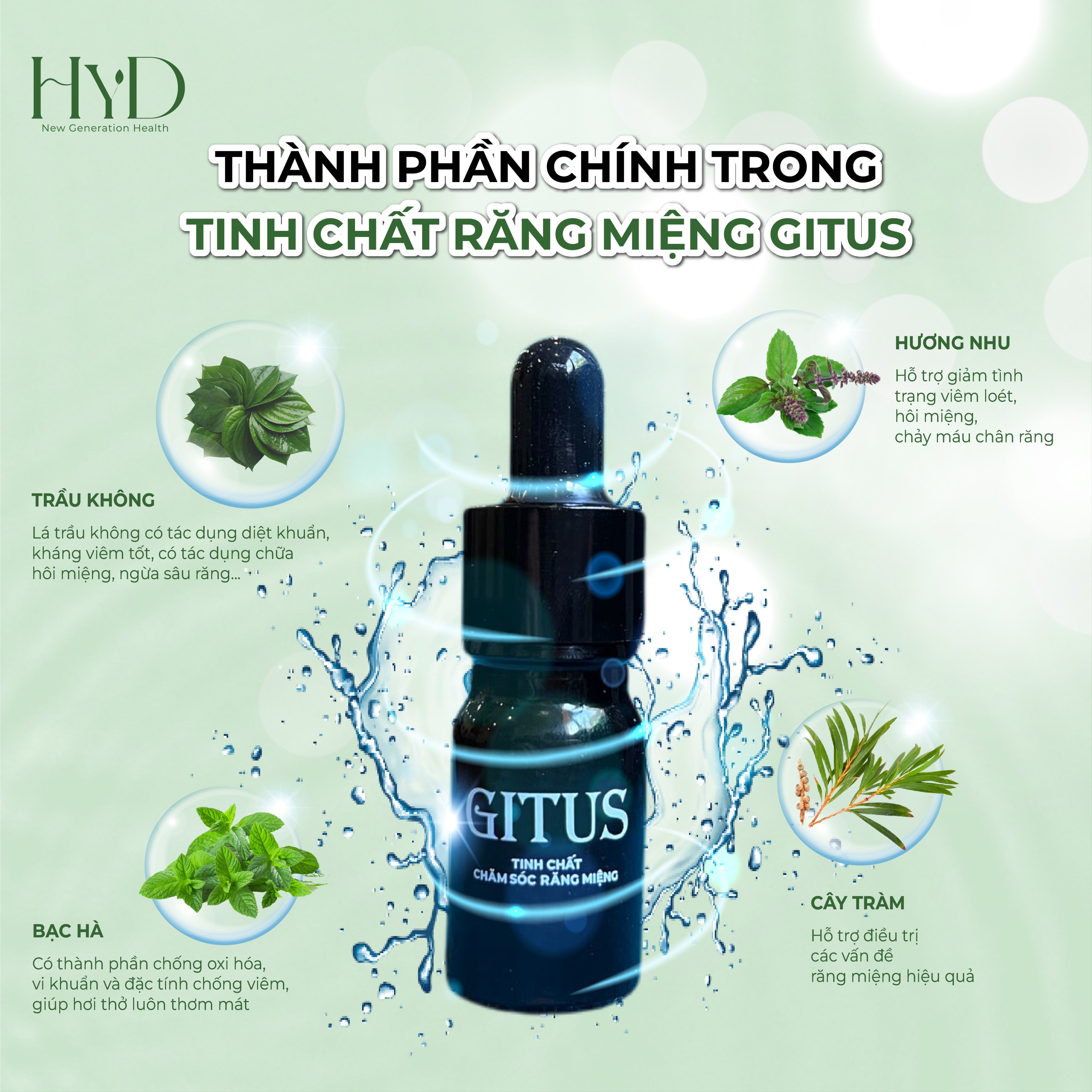 Tinh Chất Chăm Sóc Răng Miệng Gitus - Hỗ Trợ Điều Trị Hôi Miệng, Sâu Răng, Chảy Máu Chân Răng, Viêm Họng Hạt, Viêm Amidan