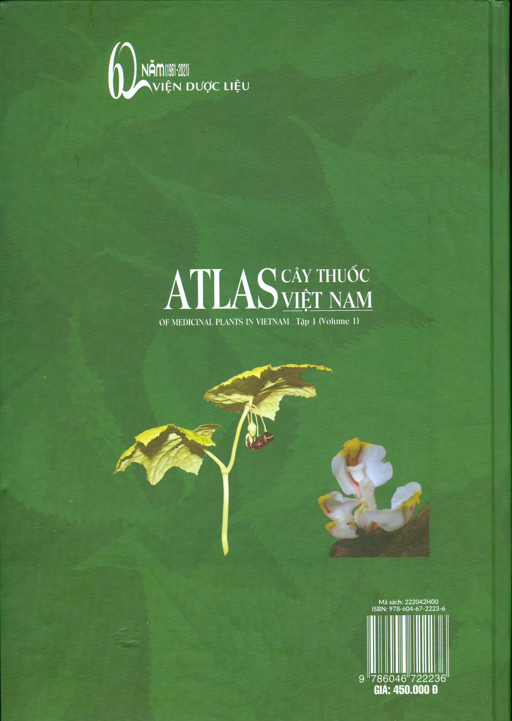 ATLAS CÂY THUỐC VIỆT NAM , TẬP 1 (Atlas Of Medicinal Plants In Vietnam, Volume 1) - Bìa cứng