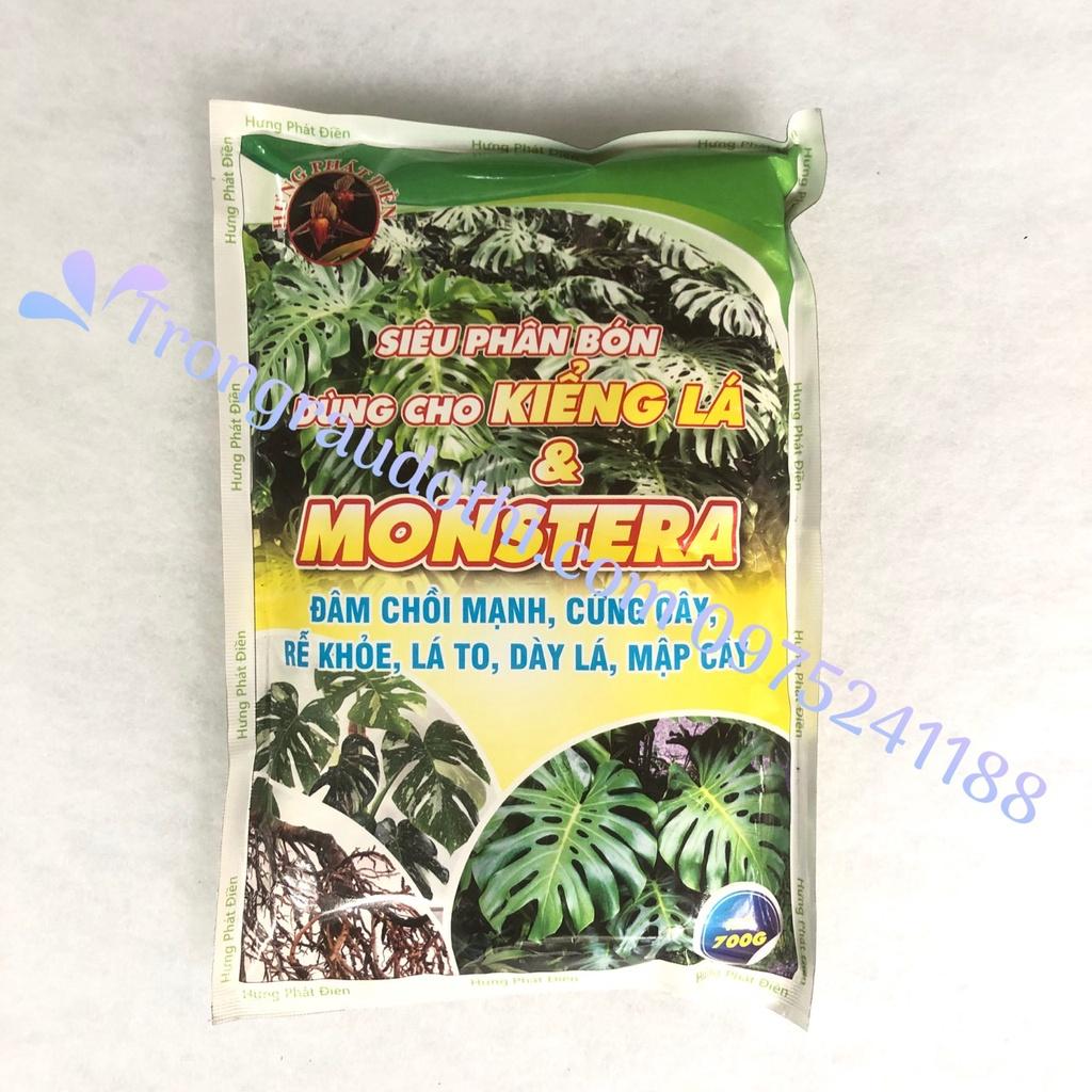 Phân bón cho cây kim tiền, trầu bà, lưỡi hổ, cau cảnh... (các loại cây cảnh lá và Monstera)